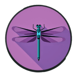 Dragonfly AI Architect