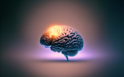 What are alternatives to unreliable yes-machine AI tools?